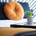 208822914_1454984664856264_1399954067750230522_n